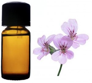 Geranium Essential Oil