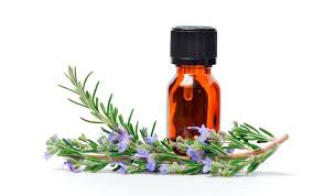 Rosemary Oil