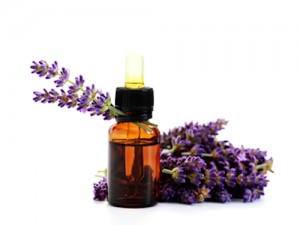 Lavender Oil