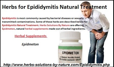Epididymitis-Natural-Treatment
