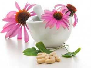 Echinacea