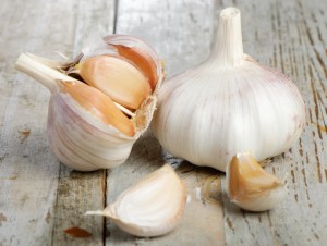 Garlic