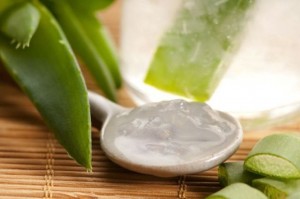 Aloe Vera Gel for Healing