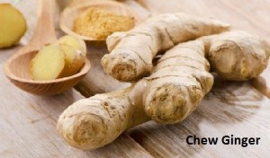 Chew Ginger