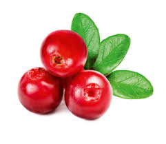 Cranberry