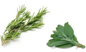 Rosemary-&-Sage