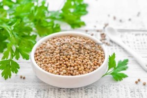 Coriander