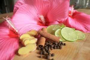 Ginger, Honey and Hibiscus Flower Essence