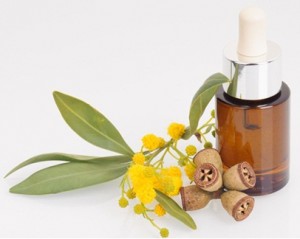 Tea Tree and Eucalyptus Oil