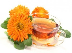 Calendula Tea