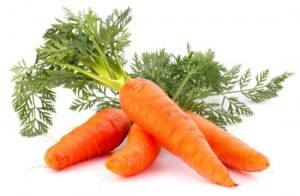 Carrot