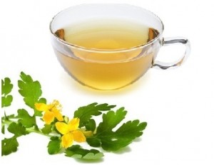 Celandine Tea