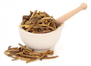 Yohimbe Bark Extract