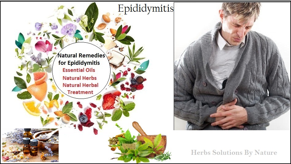 Natural-Treatment-for-Epididymitis